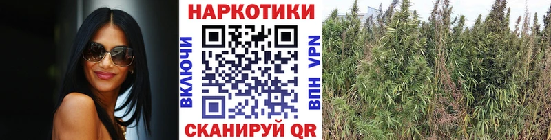 Где можно купить наркотики Аша Каннабис  АМФЕТАМИН  Гашиш  МЕФ 