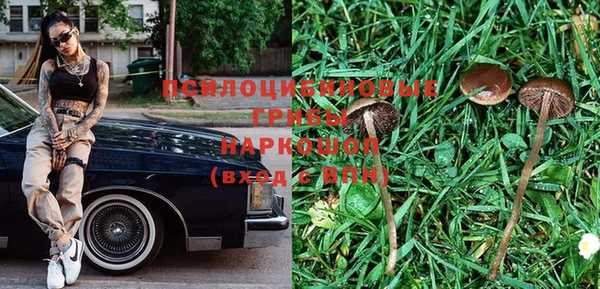 стафф Покровск