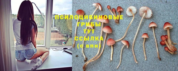 стафф Покровск