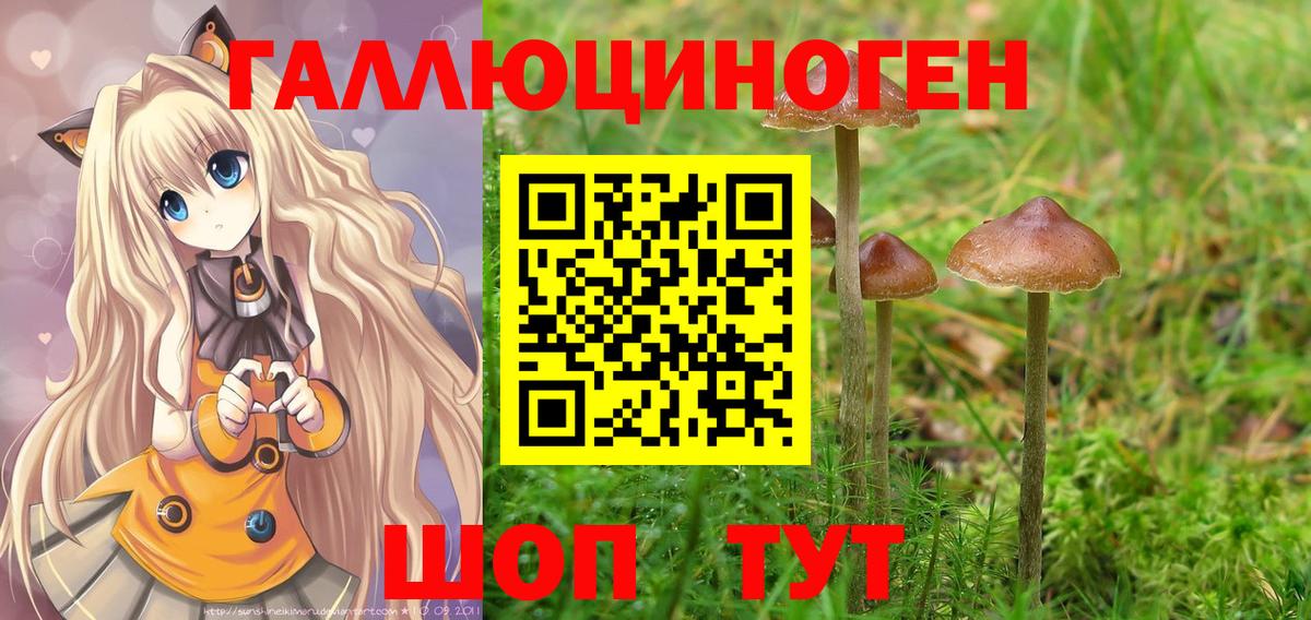Псилоцибиновые грибы прущие грибы  Псилоцибиновые грибы Psilocybine cubensis  Аша  Вход с VPN 