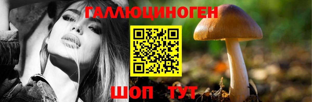 Галлюциногенные грибы Cubensis  Галлюциногенные грибы Cubensis  Аша 